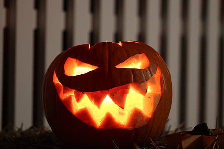 brown and orange pumpkin lantern thumbnail