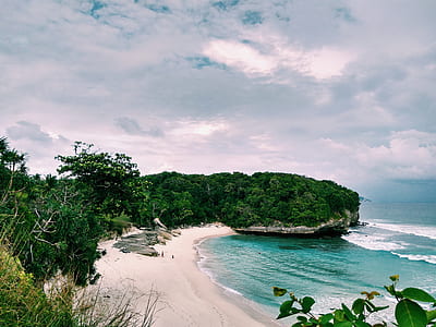 landscape photography of rock formations with trees and seashore thumbnail