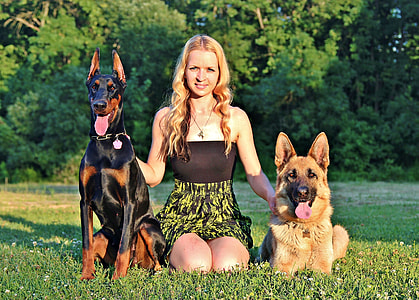 woman kneeing on grass between doberman and German shepherd thumbnail
