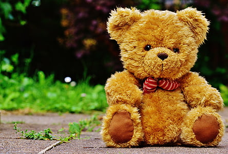 brown bear plush toy on gray concrete pavement thumbnail