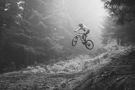 bike, jump, bmx, tree, woodland thumbnail