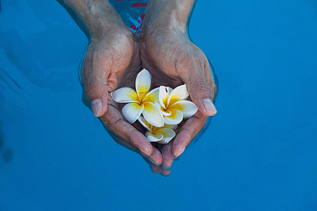 person holding white petaled flowers thumbnail