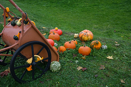 Wheelbarrow, Decorative Squashes thumbnail