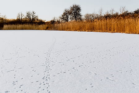 In middle of frozen lake thumbnail