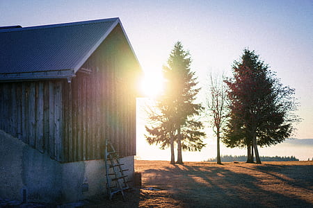 brown and gray storage house during day time thumbnail