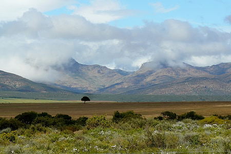landscape photo of plain near mountains thumbnail