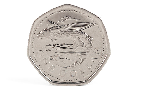 silver-colored 1 dollar coin thumbnail