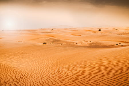 Desert dunes of Emirates thumbnail