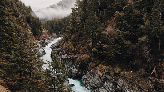 body of water near trees during daytime thumbnail