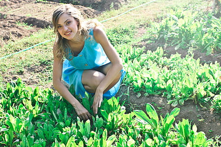 A beautiful young woman in turquoise blue dress plucking herbs in the farm thumbnail