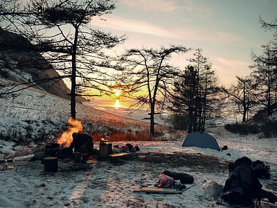 bare trees on bed of snow under blue sky during sunrise thumbnail