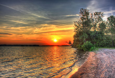 green leafed trees near body of water during sunset thumbnail