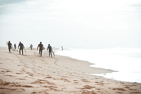 people on seashore walking during daytime thumbnail