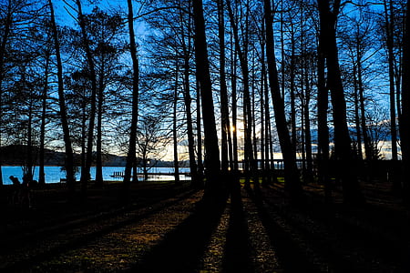 dawn, landscape, nature, sky thumbnail