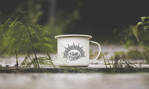Shallow Focus Photography of White Cup Near Green Plant thumbnail