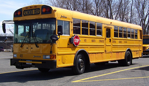 yellow school bus on road thumbnail