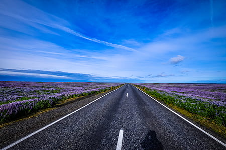 road, landscape, nature, clouds thumbnail