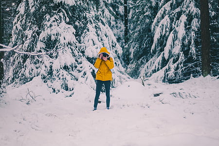 person standing on snow taking photo near snow covered trees thumbnail
