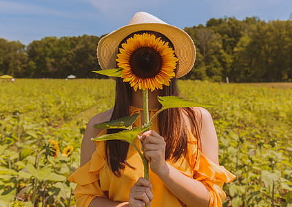 woman holding sunflower during daytime thumbnail
