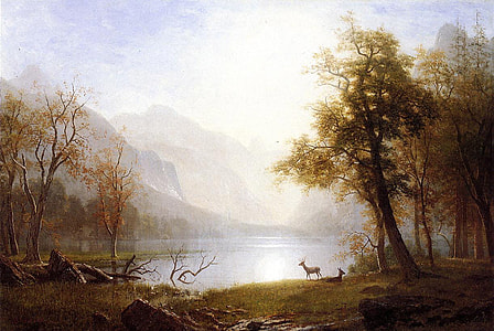 Valley in Kings Canyon, California thumbnail