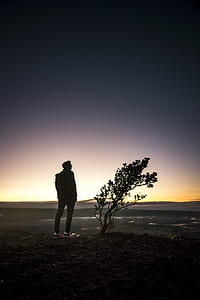 man standing beside plant silhouette photo thumbnail