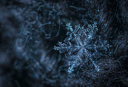 Macro Photography of Snowflake thumbnail