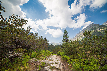 Small Path in the Middle of High Tatras, Slovakia thumbnail