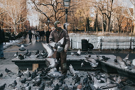 person in the middle of pigeons thumbnail
