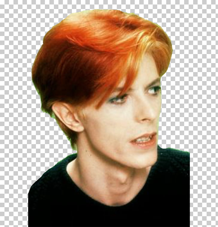 The Man Who Fell To Earth Red Hair Labyrinth The Rise And Fall Of