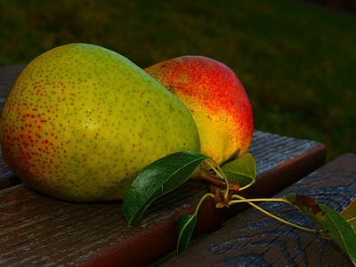 red and green fruits with leaves thumbnail