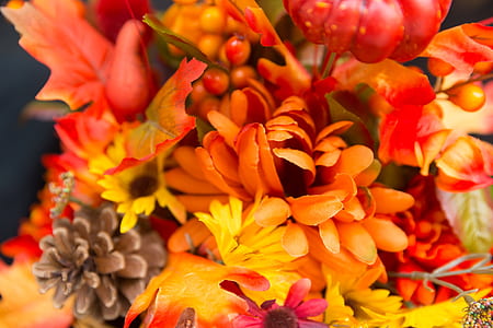 orange artificial petaled flowers close-up photography thumbnail