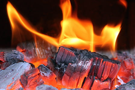 fire on wood thumbnail