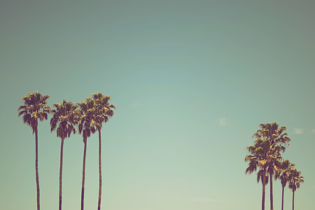 summertime thumbnail