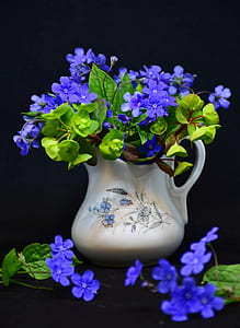 blue petaled flowers with white vase against black background thumbnail