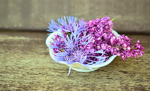 purple flower on white ceramic bowl thumbnail