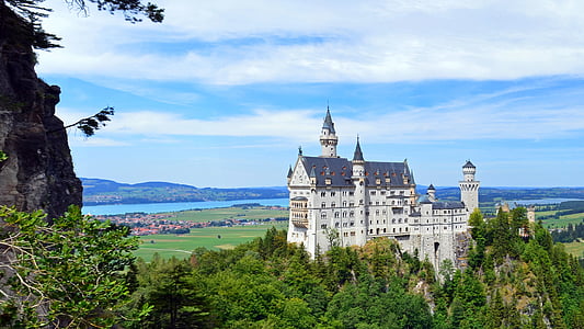 white and grey castle surrounded by trees thumbnail