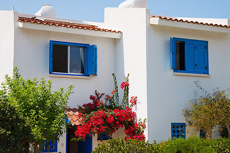 red bougainvillea flowers on white and blue concrete house thumbnail