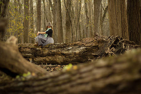 woman sitting on tree og thumbnail