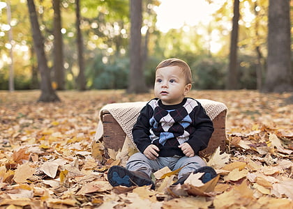 toddler's wearing black sweater outdoor on dried brown maple leaves thumbnail