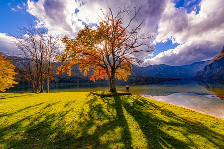 man beside tree during daytime thumbnail