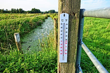 white thermometer on brown wooden fence thumbnail