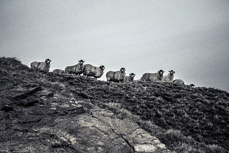 Countryside thumbnail