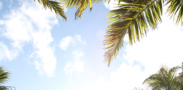 worms eye view of cloudy sky thumbnail