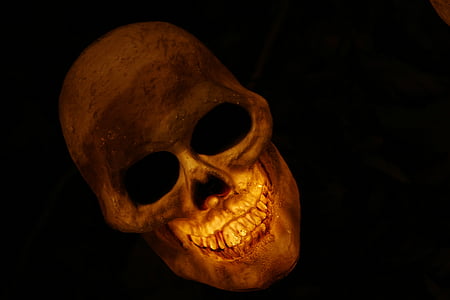 brown skull lighted table decor thumbnail