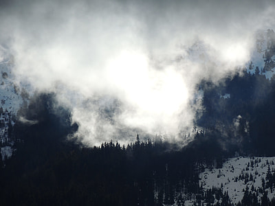 cloud cover forest photo thumbnail