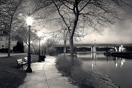 grayscale photo of pathway between black post and body of water thumbnail