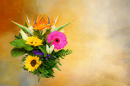 multicolored flowers painting thumbnail