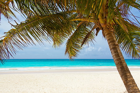 teal water beach near white sand thumbnail