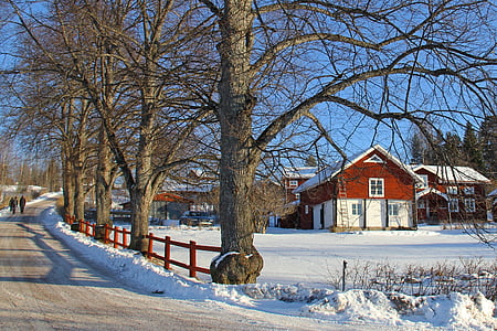 red and white wooden house near trees during daytime thumbnail