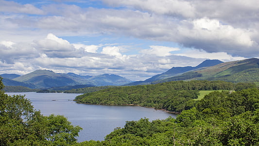 green trees surrounding body of water below white clouded sky at daytime thumbnail
